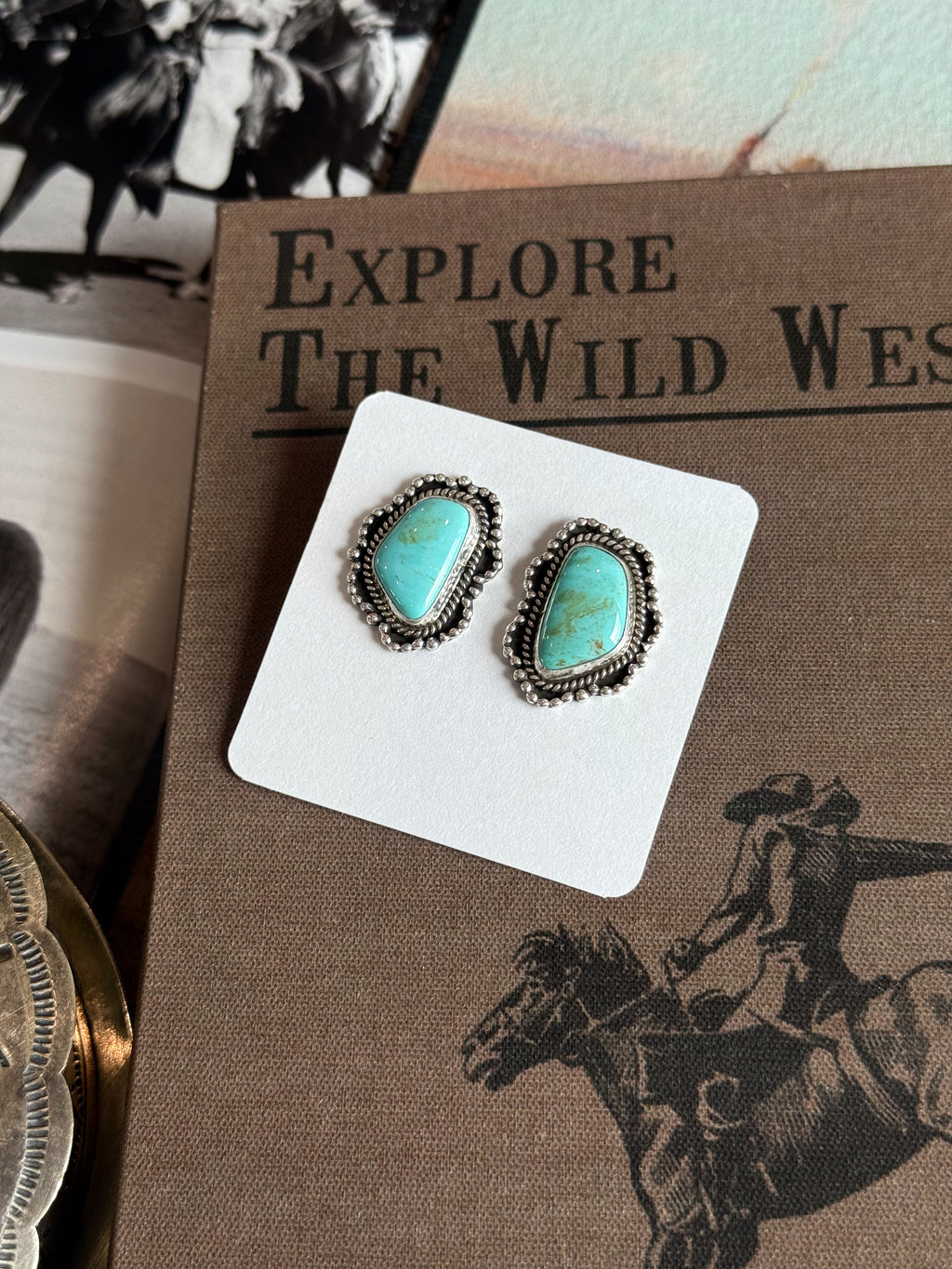 The Open Range Earrings