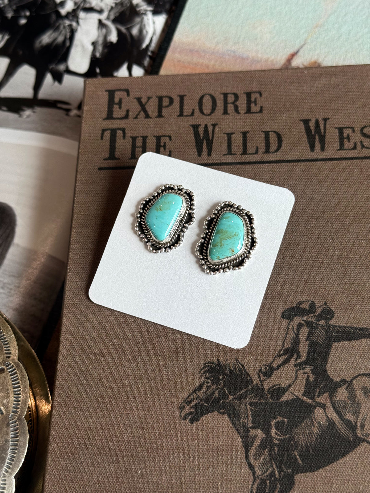 The Open Range Earrings