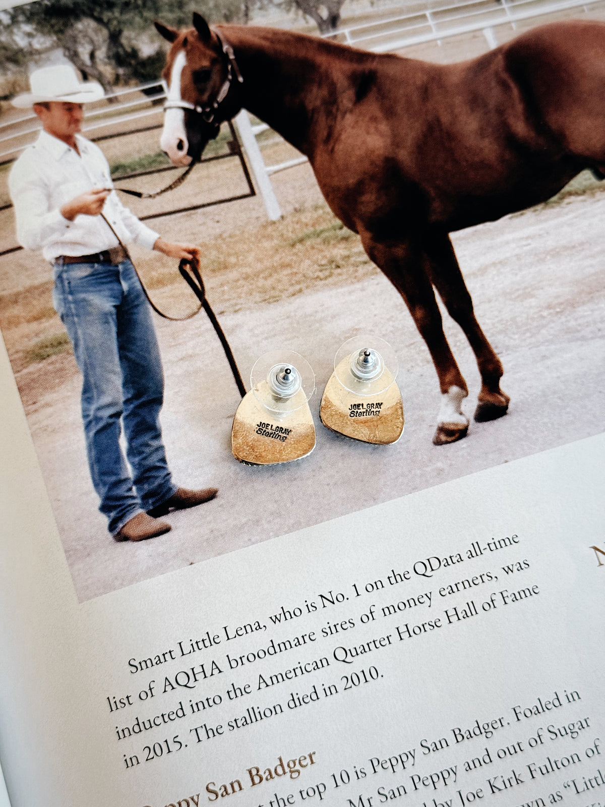 The Joel Gray Studs