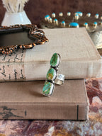 The Sonoran Crawler Ring