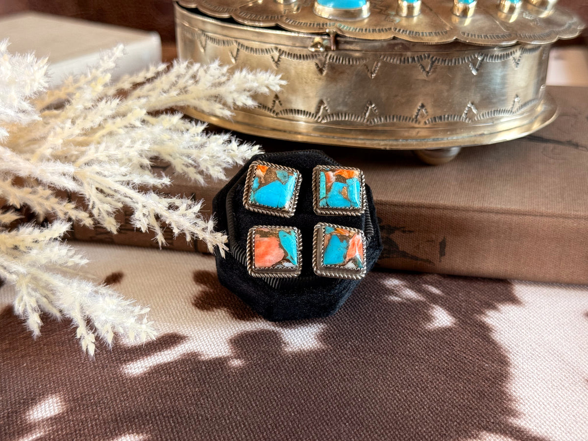 The Sedona Studs